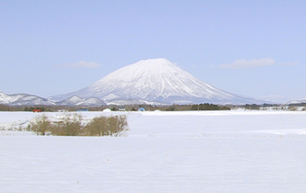 有限会社 大自然北海道